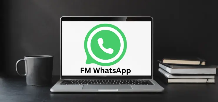 FM WhatsApp for Windows 
